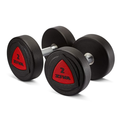 Dumbbell ZIVA professionaal, uretaan, 2 kg (2 tk)