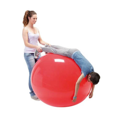 Treeningpall Physio Gymnic, 120 cm