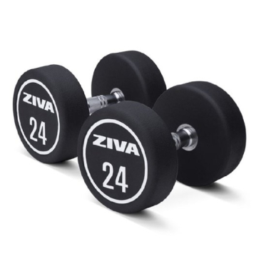 Dumbbell ZIVA XP Urethane Professional (2 tk)