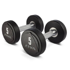 Dumbbell ZIVA STUDIO professionaalne, tahke teras/uretaan (2 tk)