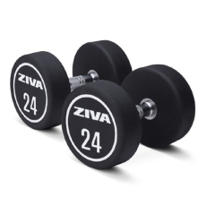 Dumbbell ZIVA XP Urethane Professional (2 tk)